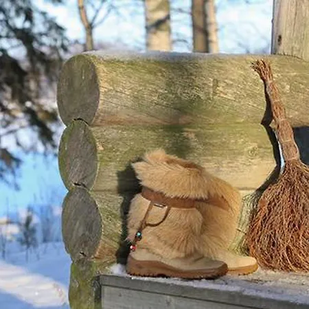 Maentyniemi By Interhome Ferienhaus *